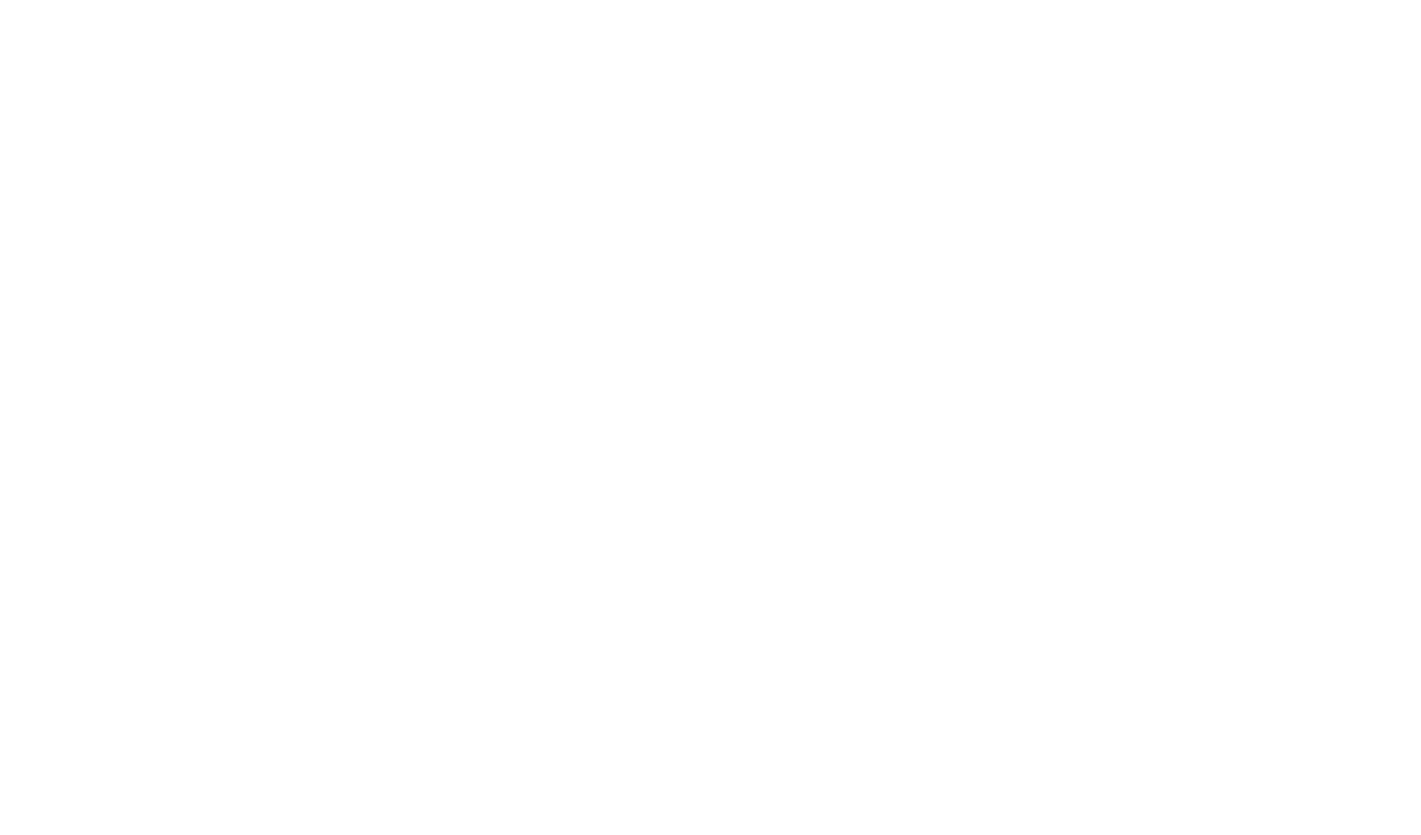 Bega Merch by Present Company